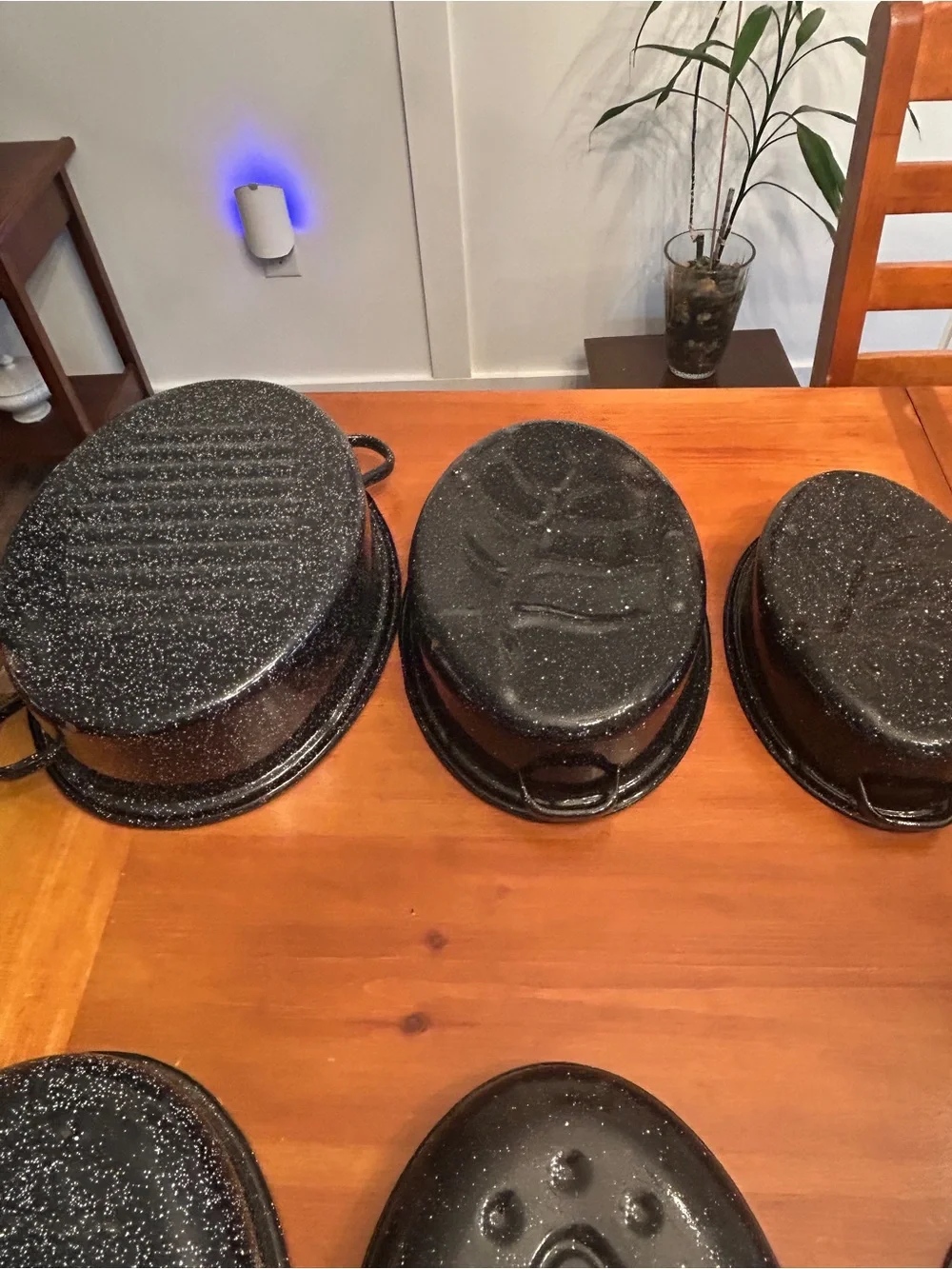 Speckled Black Roaster and Cookware Set - Durable Enamel Roasting Pans